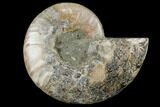 Agatized Ammonite Fossil (Half) - Crystal Chambers #111499-1